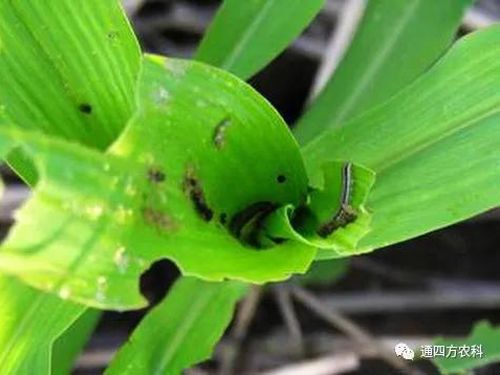 ���הQ����ô�k����ץ�o��Q��(hu��)Ӱ푮a(ch��n)��!!!