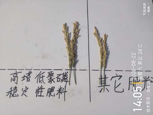 ͨ�ķ��r(n��ng)�Ƹ����;��׏ͺϷ���ˮ���ϵ�Ч�����F(xi��n)